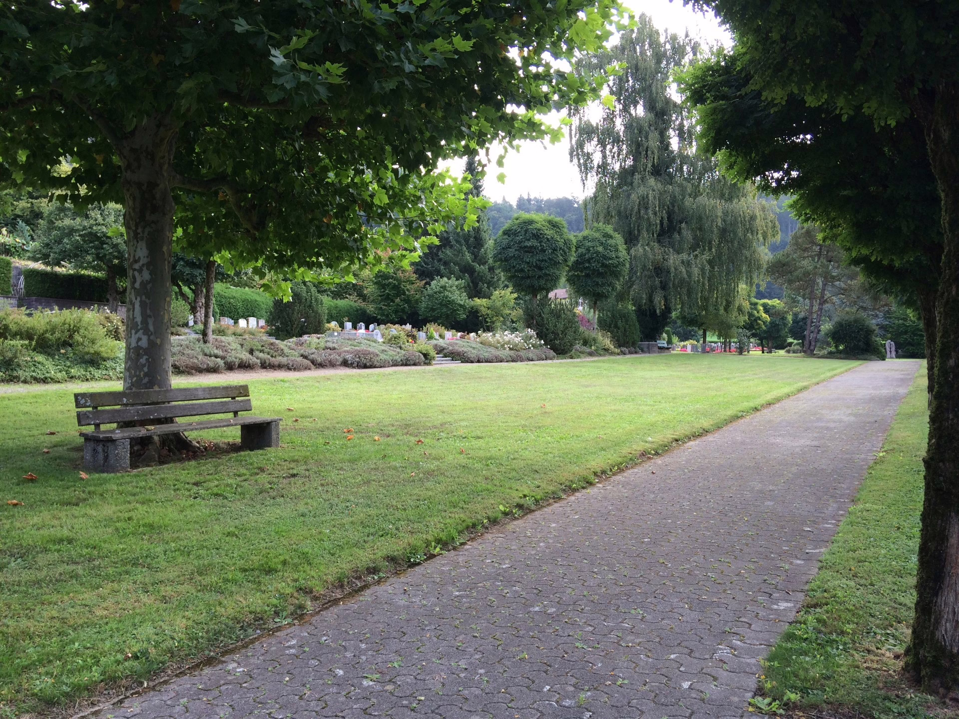 Bestattungen Tanja Jaun - Steiner